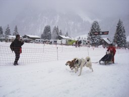 2008_Studen