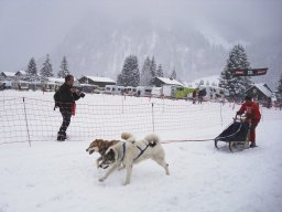 2008_Studen