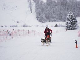2008_Studen