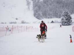 2008_Studen