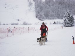 2008_Studen