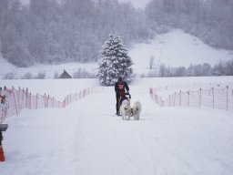 2008_Studen