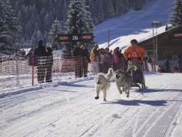 2008_Studen