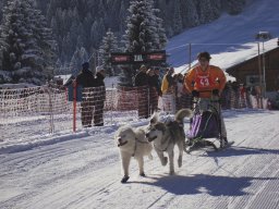 2008_Studen