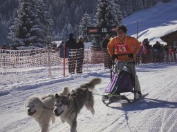 2008_Studen