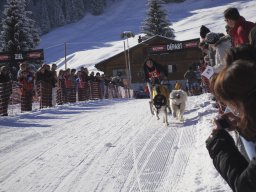 2008_Studen