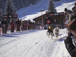 2008_Studen