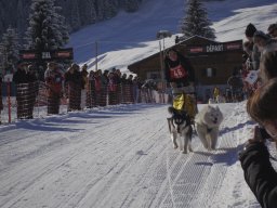 2008_Studen