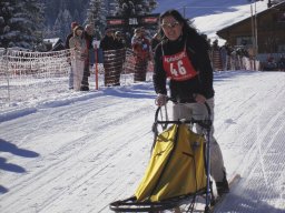 2008_Studen