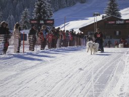 2008_Studen