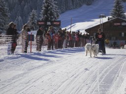 2008_Studen