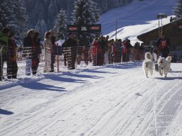 2008_Studen