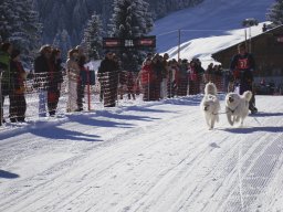 2008_Studen
