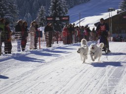 2008_Studen