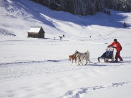 2008_Studen