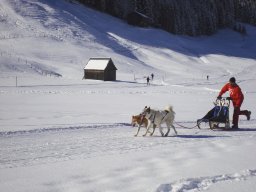 2008_Studen