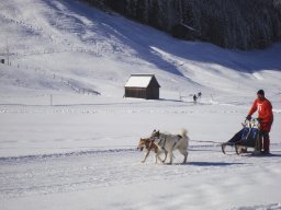 2008_Studen