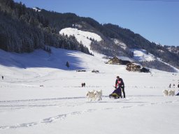 2008_Studen