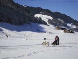 2008_Studen