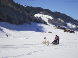 2008_Studen