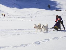 2008_Studen