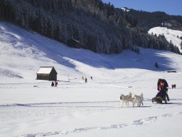 2008_Studen