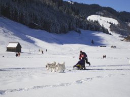 2008_Studen