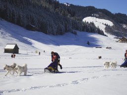 2008_Studen