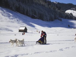 2008_Studen