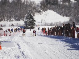 2008_Studen
