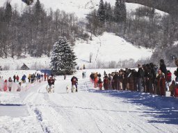 2008_Studen