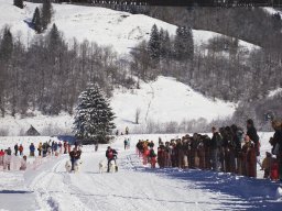 2008_Studen