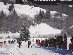 2008_Studen