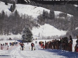 2008_Studen