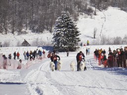 2008_Studen
