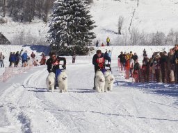2008_Studen