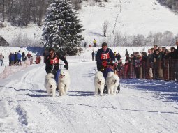 2008_Studen