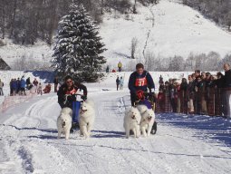 2008_Studen