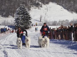 2008_Studen