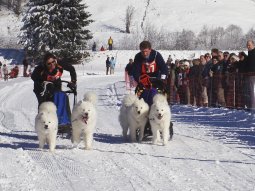 2008_Studen