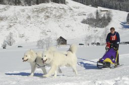 2008_Studen