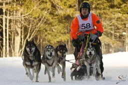 kanderstegemsa2009-02-280256_20111118_2016716618