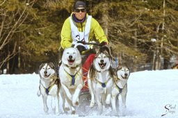 kanderstegemsa2009-02-280288_20111118_1435673187