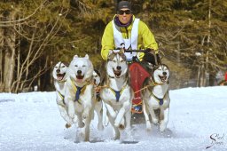 kanderstegemsa2009-02-280291_20111118_1177965213