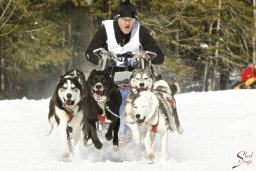 kanderstegemsa2009-02-280297_20111118_1759228756