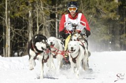 kanderstegemsa2009-02-280365_20111118_1561548961