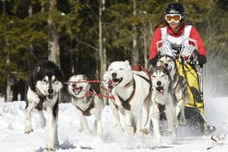 kanderstegemsa2009-02-280368_20111118_1170222178