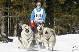 kanderstegemsa2009-02-280446_20111118_1984175384