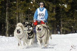 kanderstegemsa2009-02-280451_20111118_1232827444