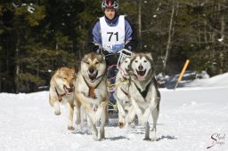 kanderstegemsa2009-02-280478_20111118_1516610317